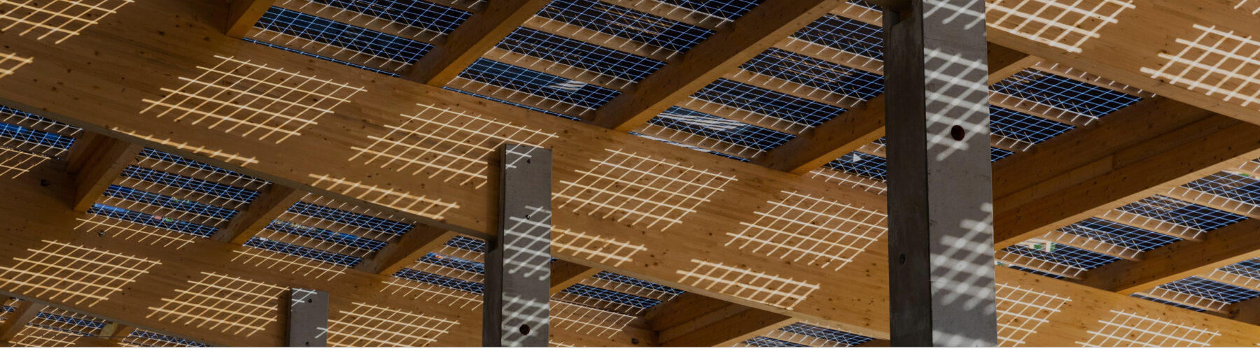 Ausschnitt der Dachfläche eines Flugdachs, das Detail zeigt große horizontal verlaufende Holzbalken auf Stützen und darauf semitransparente Photovoltaikmodule.